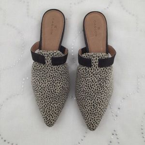 NWT Caslon Gray&beige spotted pointed toe mules
